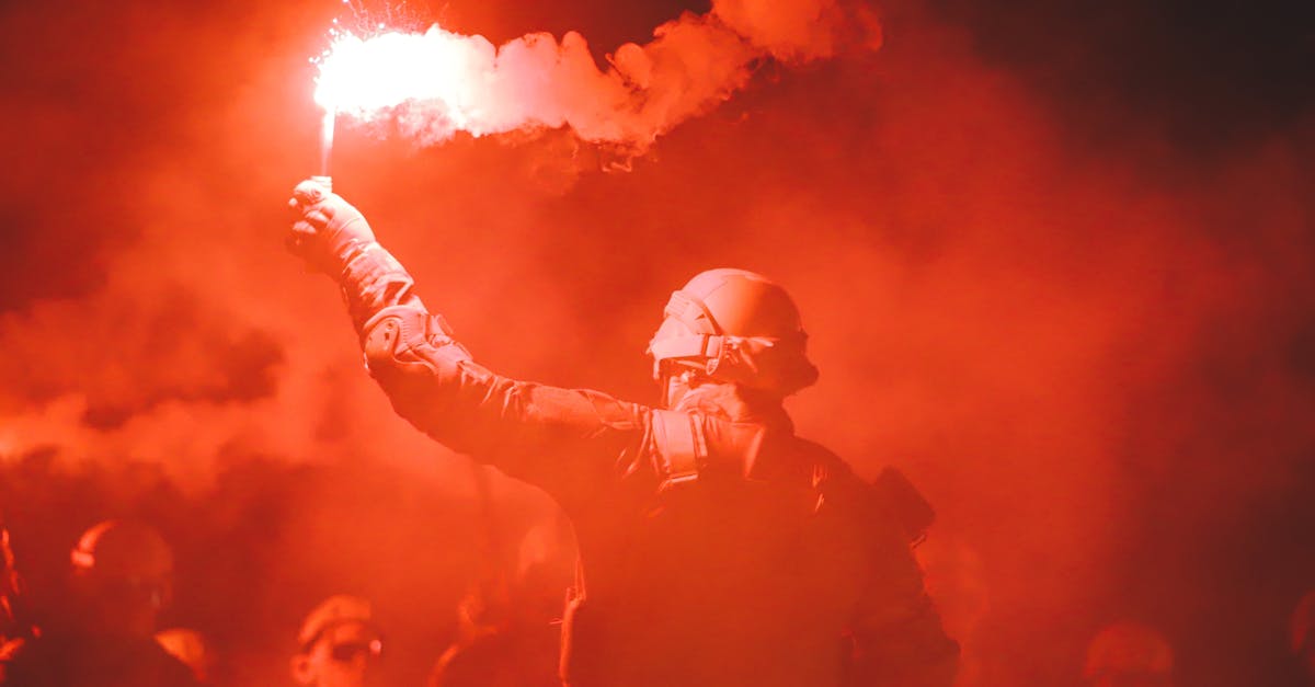 Mond梦都蓝莓:临沂代理注册外贸公司注册