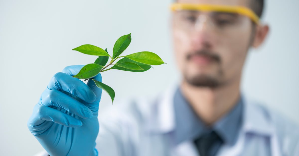 大量出售电话卡：实名制度：加强网络直播的规范化管理