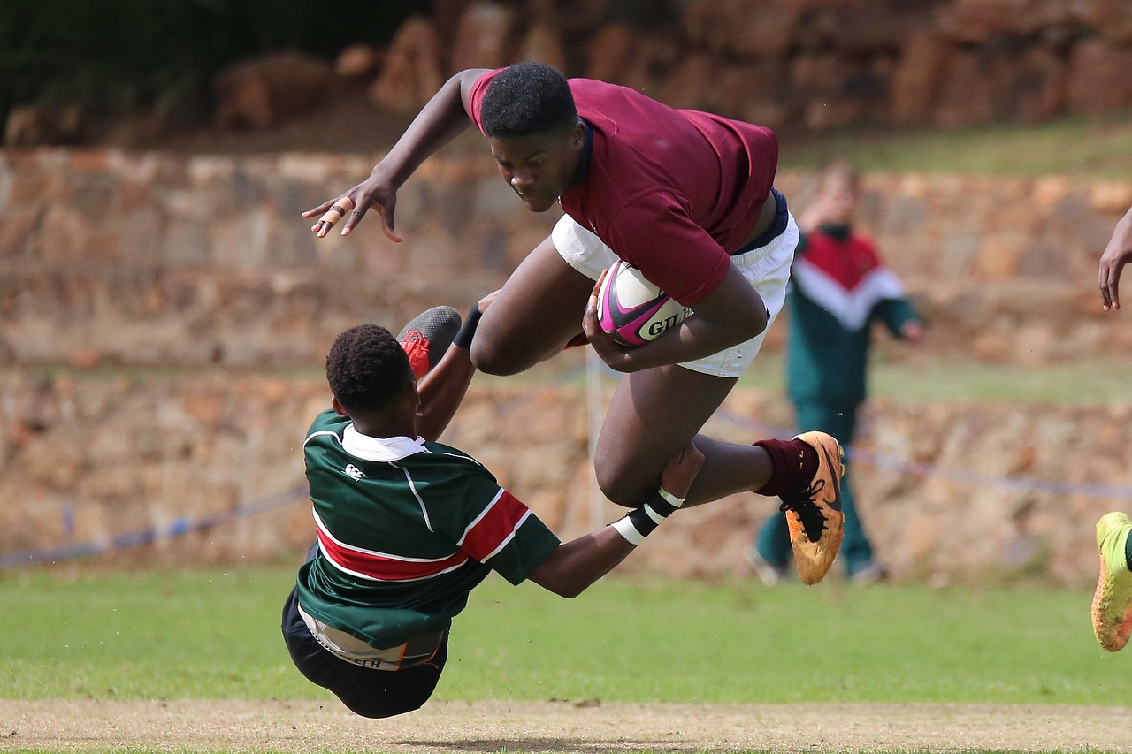 铁塔猫烟花芒果珠(细):我的世界邮箱官网注册账号