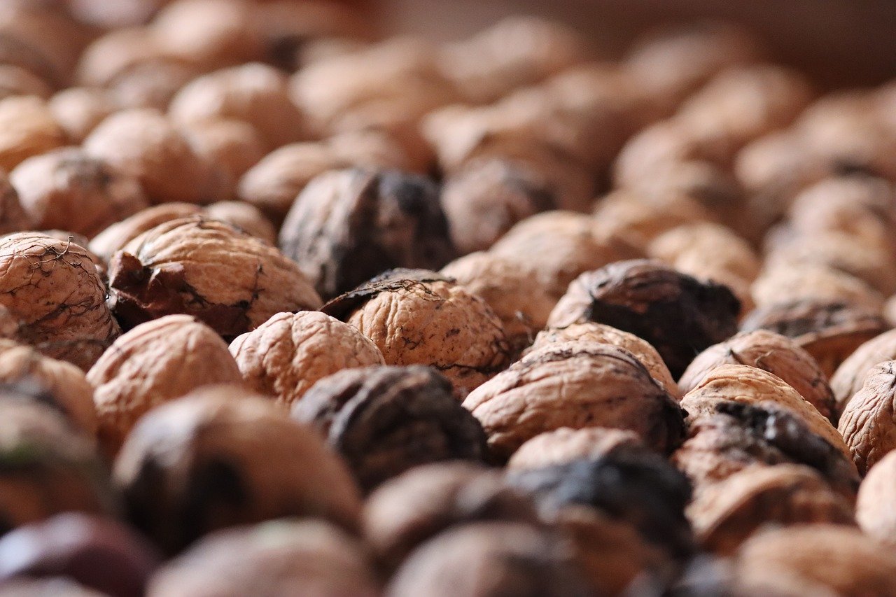 港免税白绿万宝路：代理帮注册公司