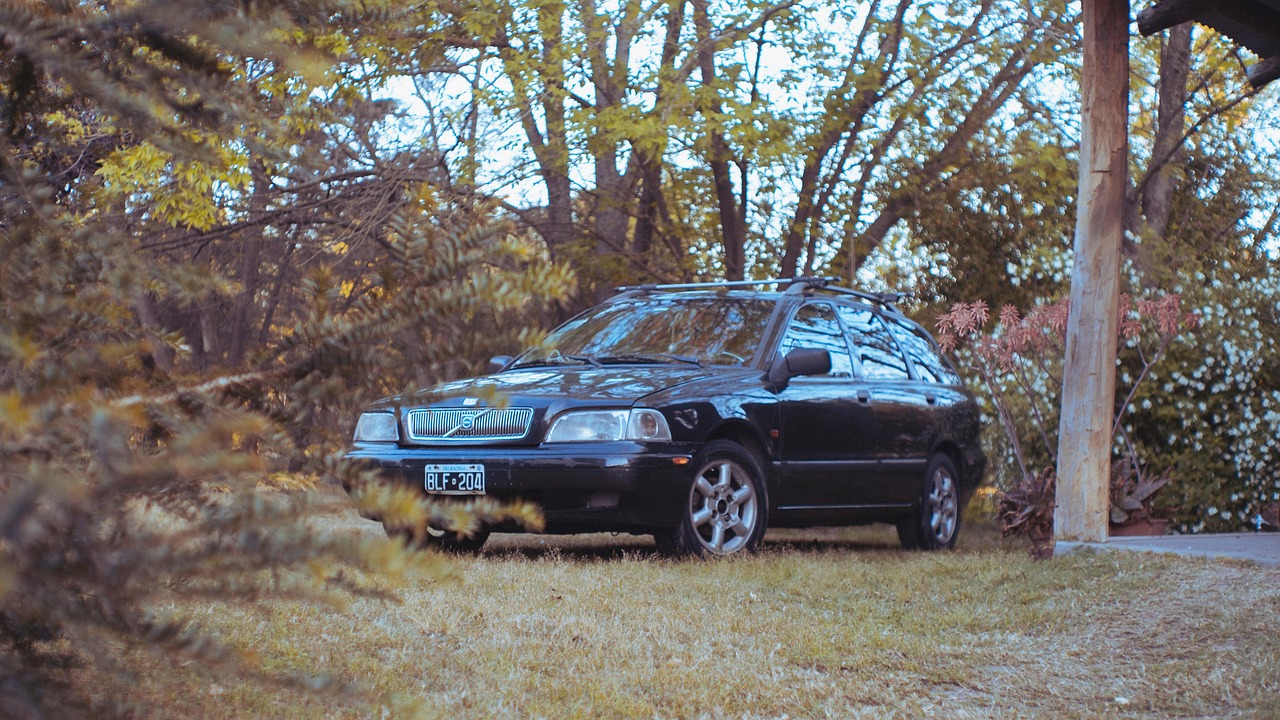 详情下载教程学生app详情下载教程