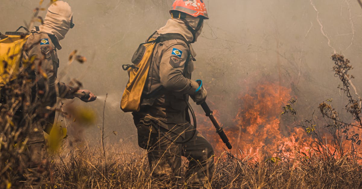 乐语通讯实名账号：货车购买保险平台