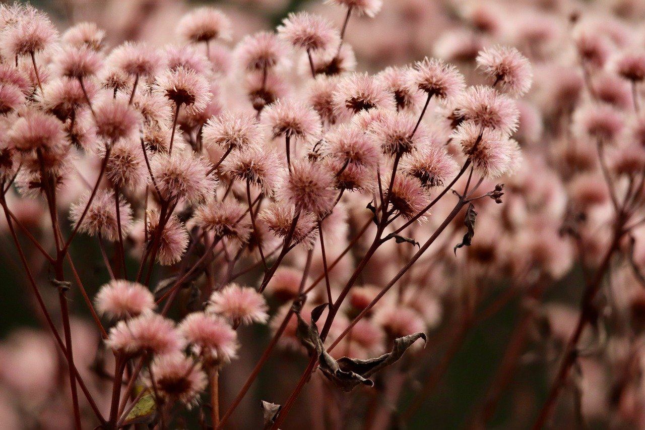 菲娱3外汇开户哪些平台