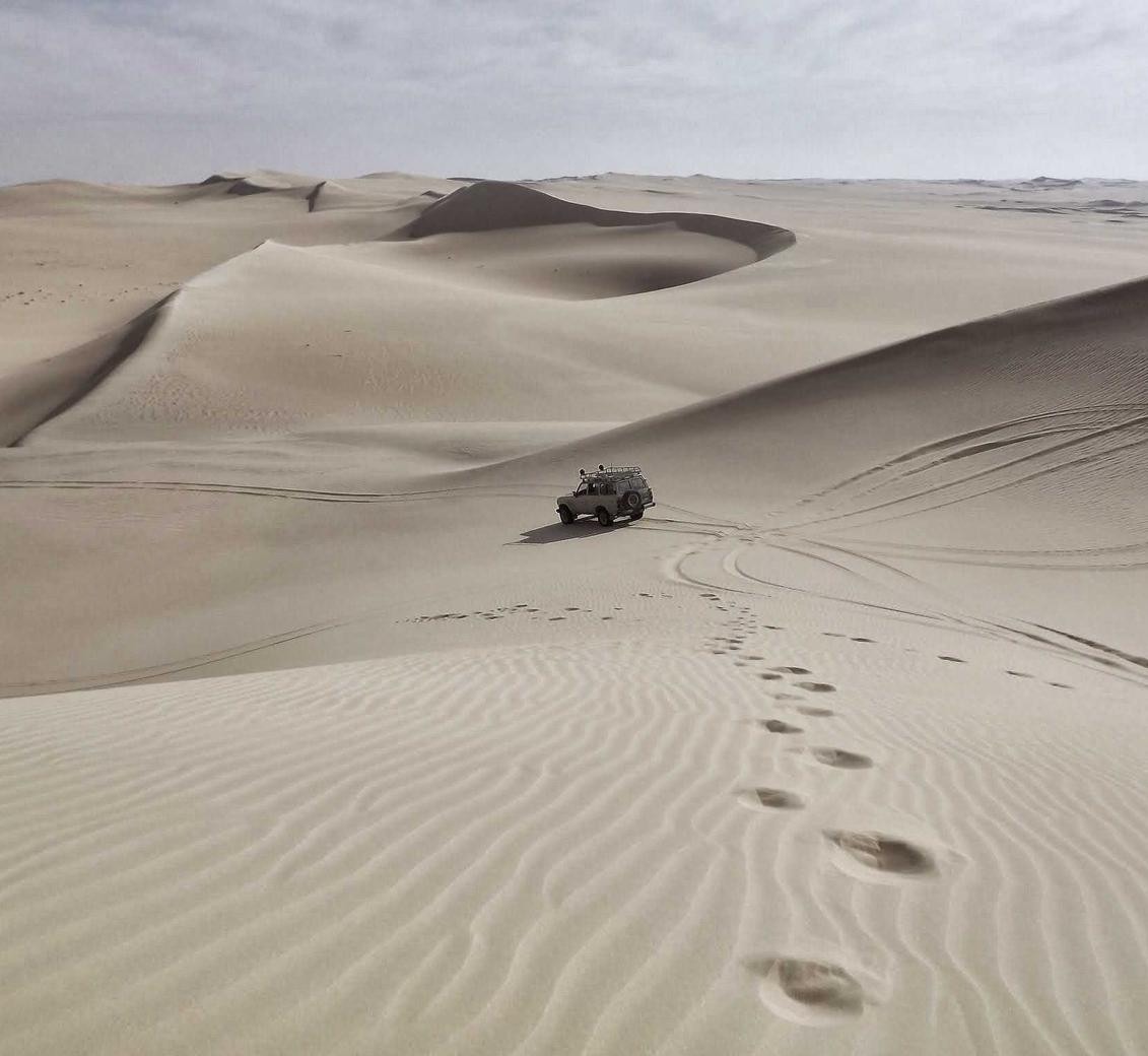 诛仙2：福客满app详情下载教程