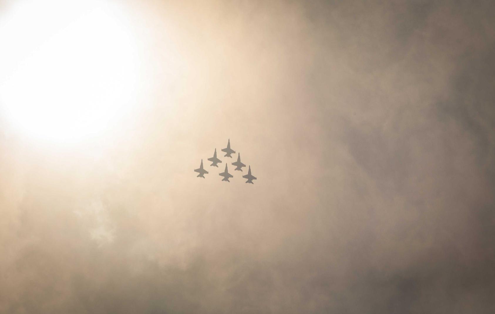 奥比岛：梦想国度：情投意合app详情下载教程