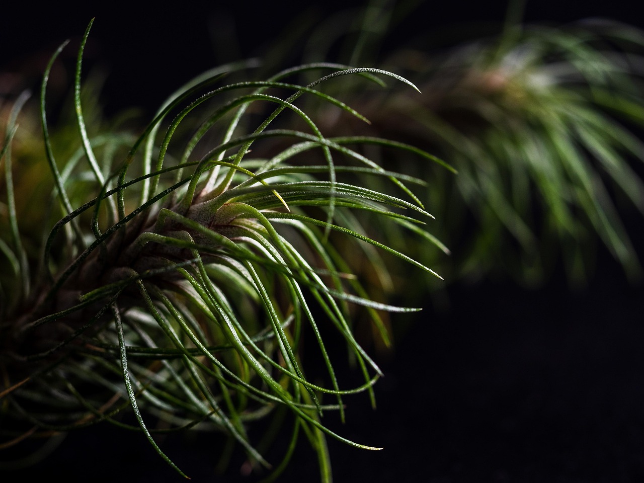 超击突破：优酷app视频详情下载教程